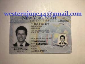 New York Fake ID